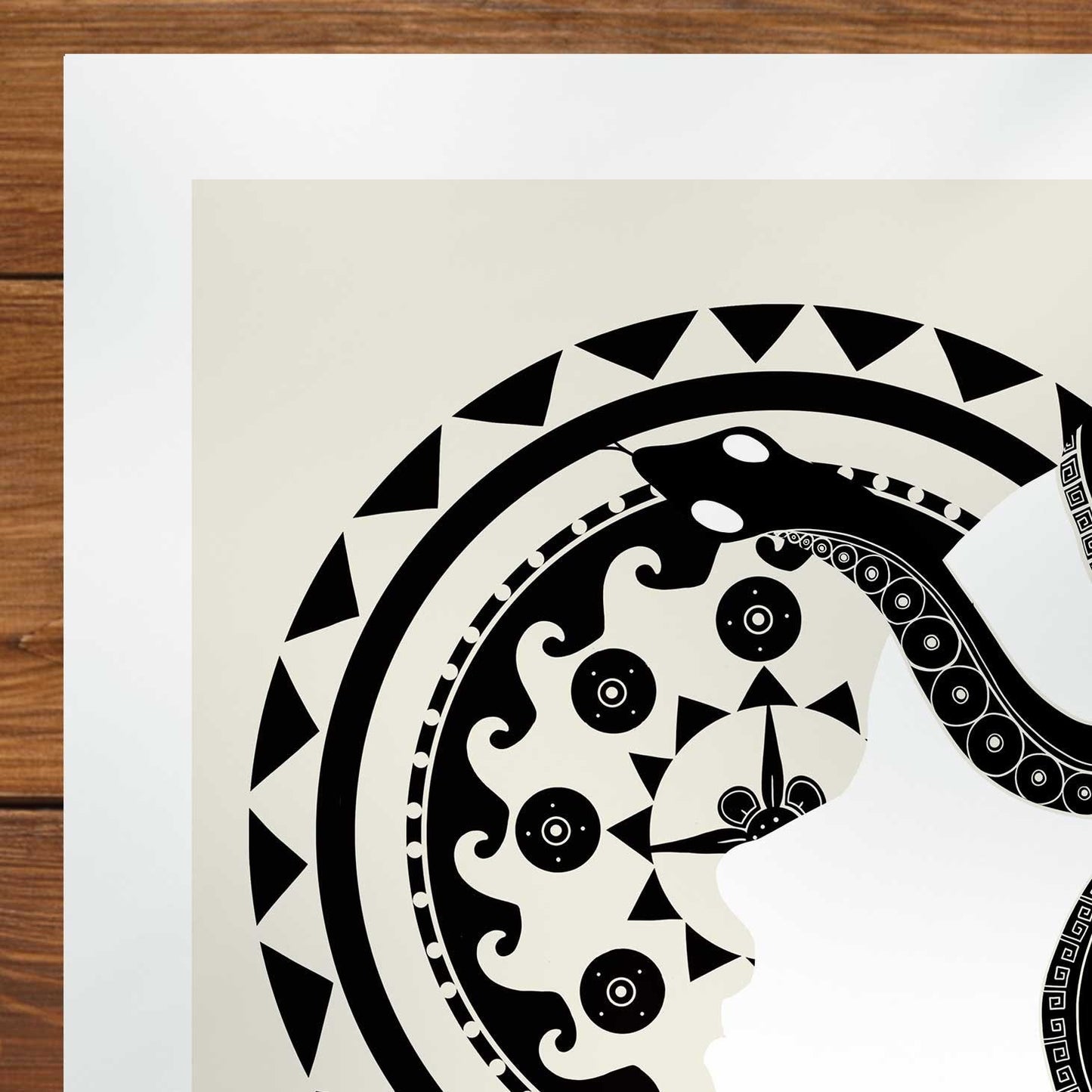 Medusa Minimalist